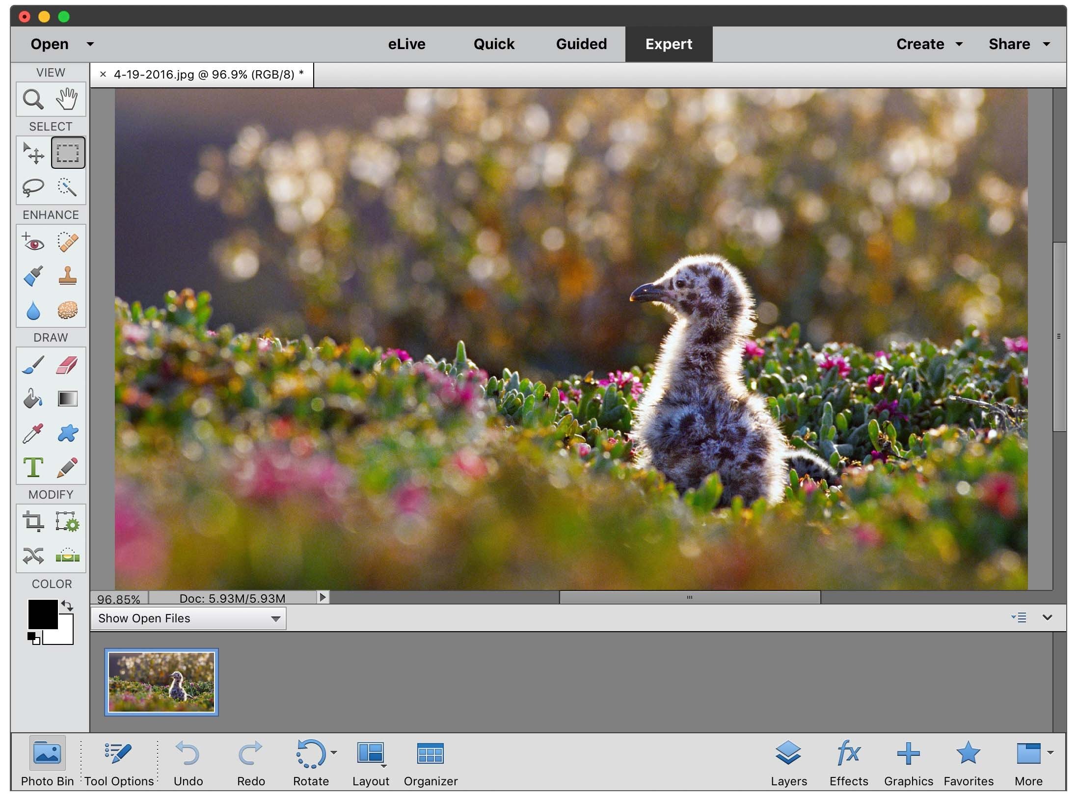 best photo edit software for mac